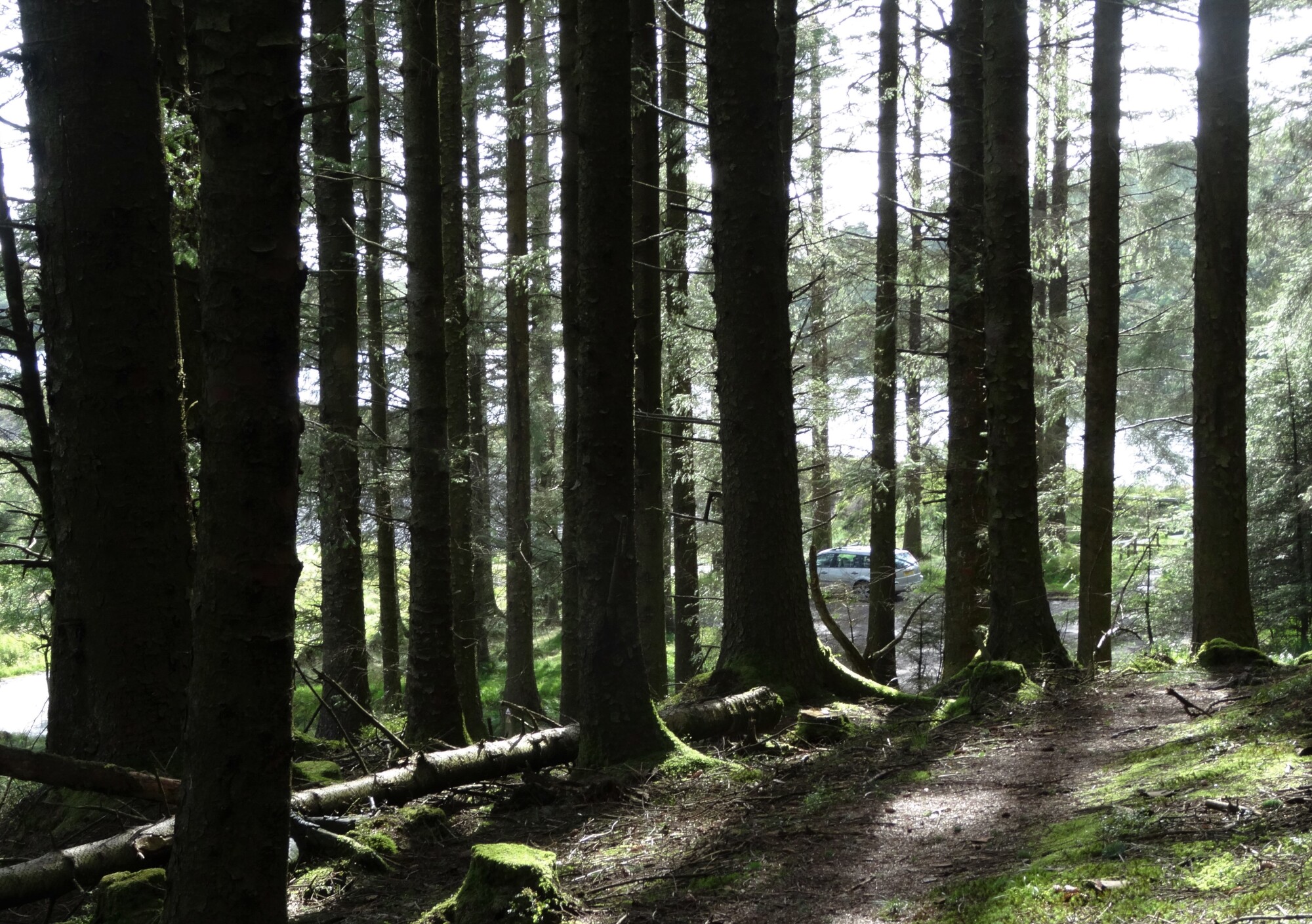 RachelSeabrook.net | Wild Walking | Craig y Pistyll | pic01
